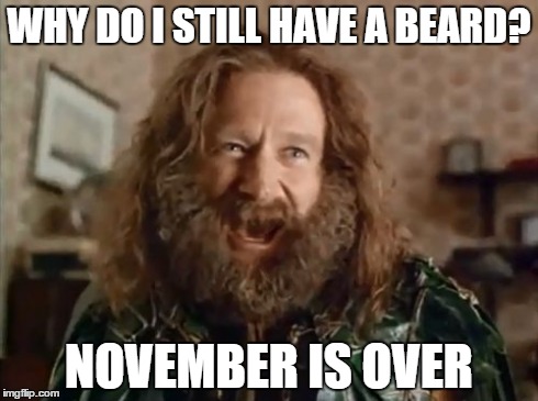 What Year Is It | WHY DO I STILL HAVE A BEARD? NOVEMBER IS OVER | image tagged in memes,what year is it | made w/ Imgflip meme maker