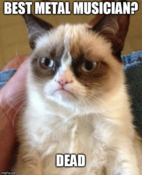 Grumpy Cat | BEST METAL MUSICIAN? DEAD | image tagged in memes,grumpy cat | made w/ Imgflip meme maker