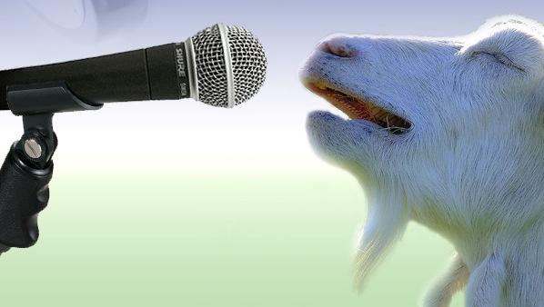 goat singing Blank Meme Template