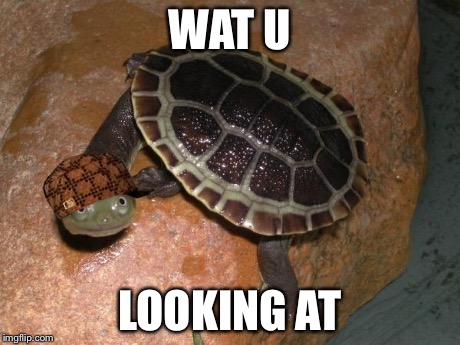 turtle meme | WAT U LOOKING AT | image tagged in turtle meme,scumbag | made w/ Imgflip meme maker
