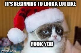 Grumpy cat christmas | IT'S BEGINNING TO LOOK A LOT LIKE F**K YOU | image tagged in grumpy cat christmas | made w/ Imgflip meme maker