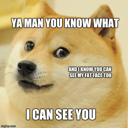 Doge | YA MAN YOU KNOW WHAT I CAN SEE YOU AND I KNOW YOU CAN SEE MY FAT FACE TOO | image tagged in memes,doge | made w/ Imgflip meme maker
