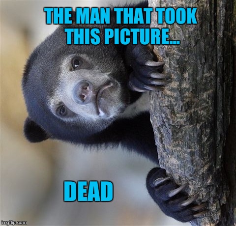 stay out of the woods | THE MAN THAT TOOK THIS PICTURE... DEAD | image tagged in memes,confession bear,dead | made w/ Imgflip meme maker