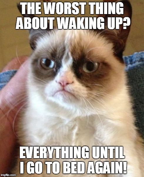 Grumpy Cat Meme | THE WORST THING ABOUT WAKING UP? EVERYTHING UNTIL I GO TO BED AGAIN! | image tagged in memes,grumpy cat | made w/ Imgflip meme maker