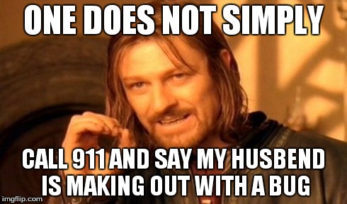 One Does Not Simply | ONE DOES NOT SIMPLY CALL 911 AND SAY MY HUSBEND IS MAKING OUT WITH A BUG | image tagged in memes,one does not simply | made w/ Imgflip meme maker