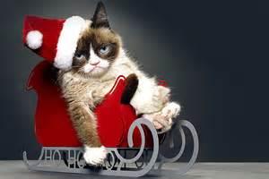High Quality Grumpy Cat Christmas Blank Meme Template