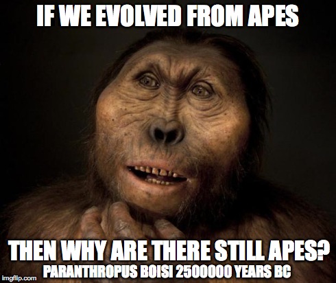 IF WE EVOLVED FROM APES THEN WHY ARE THERE STILL APES? PARANTHROPUS BOISI 2500000 YEARS BC | image tagged in paranthropus boisei | made w/ Imgflip meme maker
