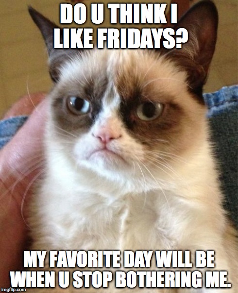 Grumpy Cat | DO U THINK I LIKE FRIDAYS? MY FAVORITE DAY WILL BE WHEN U STOP BOTHERING ME. | image tagged in memes,grumpy cat | made w/ Imgflip meme maker
