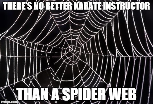 Scumbag Spiderweb | THERE'S NO BETTER KARATE INSTRUCTOR THAN A SPIDER WEB | image tagged in spiderweb,funny,memes,karate,scumbag,lol | made w/ Imgflip meme maker