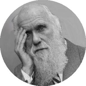 Darwin Facepalm Blank Meme Template