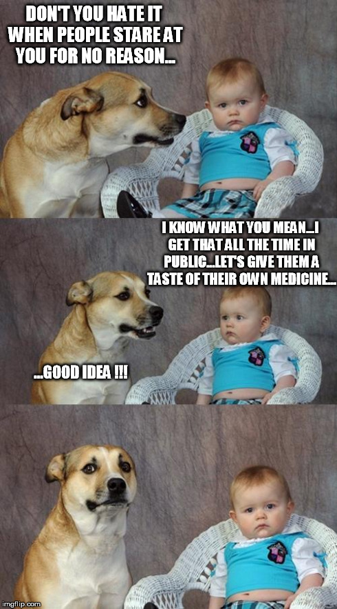 Dad Joke Dog | DON'T YOU HATE IT WHEN PEOPLE STARE AT YOU FOR NO REASON... I KNOW WHAT YOU MEAN...I GET THAT ALL THE TIME IN PUBLIC...LET'S GIVE THEM A TAS | image tagged in memes,dad joke dog | made w/ Imgflip meme maker