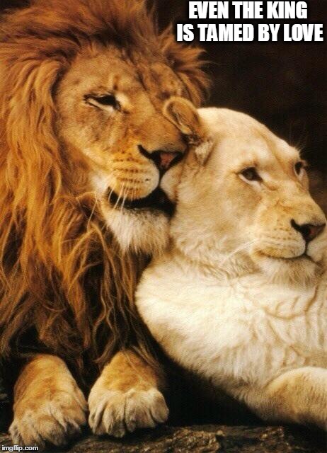 Love | EVEN THE KING IS TAMED BY LOVE | image tagged in love | made w/ Imgflip meme maker