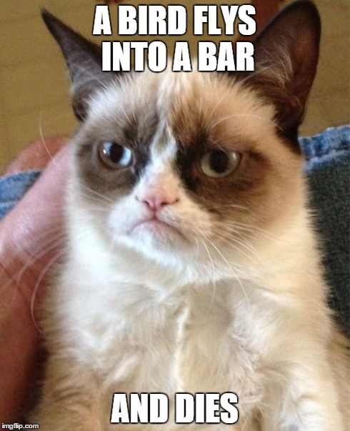 Grumpy Cat Meme | A BIRD FLYS INTO A BAR AND DIES | image tagged in memes,grumpy cat | made w/ Imgflip meme maker