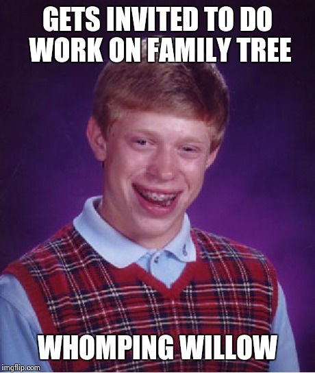 Bad Luck Brian Meme | GETS INVITED TO DO WORK ON FAMILY TREE WHOMPING WILLOW | image tagged in memes,bad luck brian | made w/ Imgflip meme maker