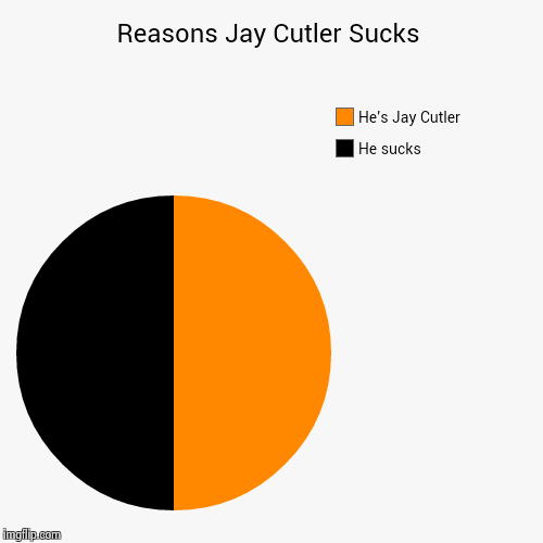 Reasons Jay Cutler Sucks | He sucks, He's Jay Cutler | image tagged in funny,pie charts | made w/ Imgflip chart maker