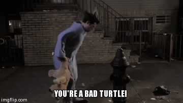 You're a bad turtle | YOU'RE A BAD TURTLE! | image tagged in gifs,TrollXChromosomes | made w/ Imgflip video-to-gif maker