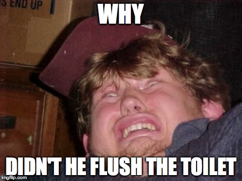 WTF Meme | WHY DIDN'T HE FLUSH THE TOILET | image tagged in memes,wtf | made w/ Imgflip meme maker