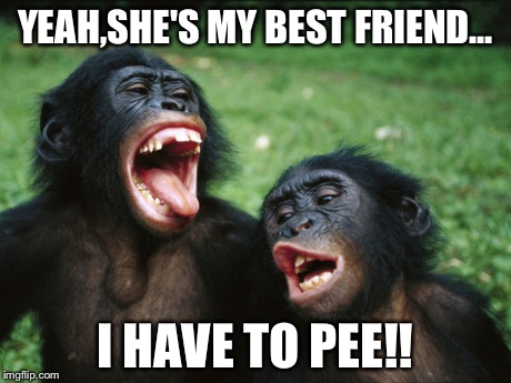 Best friends | YEAH,SHE'S MY BEST FRIEND... I HAVE TO PEE!! | image tagged in memes,bonobo lyfe | made w/ Imgflip meme maker