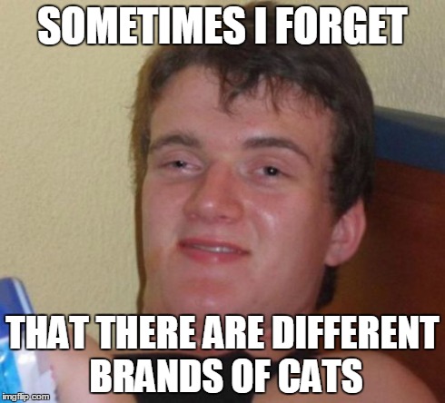 10 Guy | SOMETIMES I FORGET THAT THERE ARE DIFFERENT BRANDS OF CATS | image tagged in memes,10 guy,funny | made w/ Imgflip meme maker