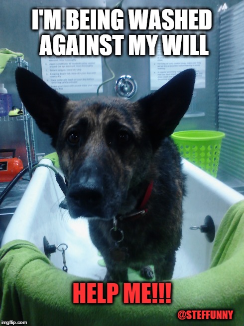 I'M BEING WASHED AGAINST MY WILL HELP ME!!! @STEFFUNNY | made w/ Imgflip meme maker