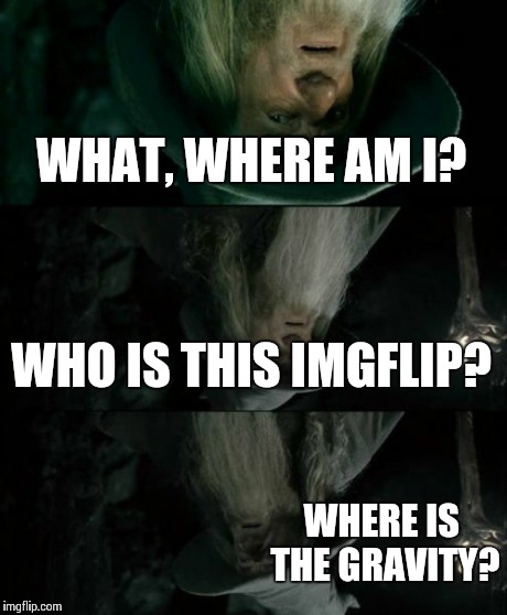 Confused Gandalf | WHAT, WHERE AM I? WHO IS THIS IMGFLIP? WHERE IS THE GRAVITY? | image tagged in memes,confused gandalf | made w/ Imgflip meme maker