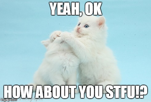 YEAH, OK HOW ABOUT YOU STFU!? | image tagged in stfu,cats | made w/ Imgflip meme maker