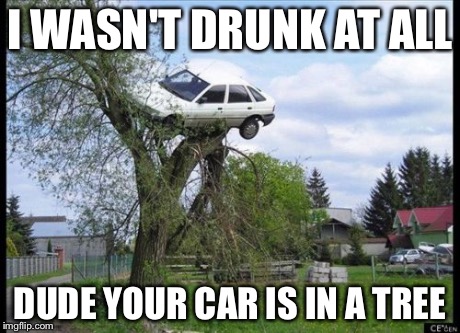 Secure Parking | I WASN'T DRUNK AT ALL DUDE YOUR CAR IS IN A TREE | image tagged in memes,secure parking | made w/ Imgflip meme maker