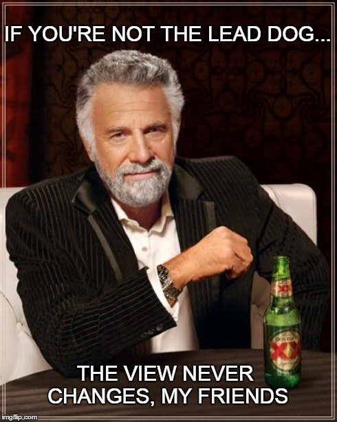 Lead Dog | IF YOU'RE NOT THE LEAD DOG... THE VIEW NEVER CHANGES, MY FRIENDS | image tagged in memes,the most interesting man in the world,dog | made w/ Imgflip meme maker