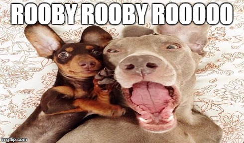 ROOBY ROOBY ROOOOO | made w/ Imgflip meme maker