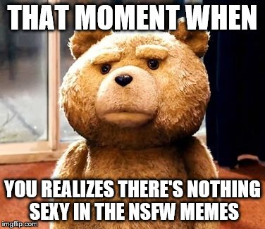 disappointment  | THAT MOMENT WHEN YOU REALIZES THERE'S NOTHING SEXY IN THE NSFW MEMES | image tagged in memes,ted | made w/ Imgflip meme maker