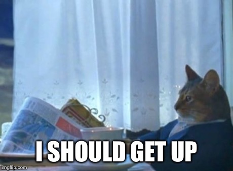 I Should Buy A Boat Cat Meme | I SHOULD GET UP | image tagged in memes,i should buy a boat cat | made w/ Imgflip meme maker