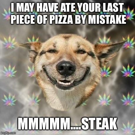 Stoner Dog | I MAY HAVE ATE YOUR LAST PIECE OF PIZZA BY MISTAKE MMMMM....STEAK | image tagged in memes,stoner dog | made w/ Imgflip meme maker