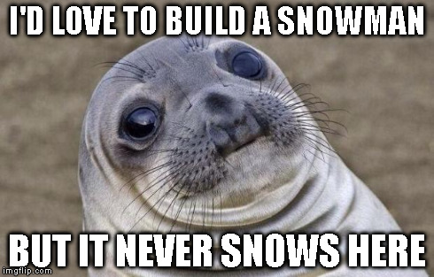 Awkward Moment Sealion Meme | I'D LOVE TO BUILD A SNOWMAN BUT IT NEVER SNOWS HERE | image tagged in memes,awkward moment sealion | made w/ Imgflip meme maker