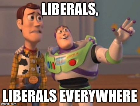 X, X Everywhere | LIBERALS, LIBERALS EVERYWHERE | image tagged in memes,x x everywhere | made w/ Imgflip meme maker