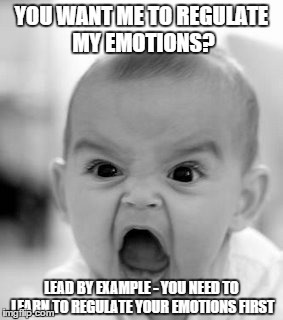 Angry Baby Meme | YOU WANT ME TO REGULATE MY EMOTIONS? LEAD BY EXAMPLE - YOU NEED TO LEARN TO REGULATE YOUR EMOTIONS FIRST | image tagged in memes,angry baby | made w/ Imgflip meme maker