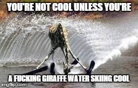 giraffe skiing | YOU'RE NOT COOL UNLESS YOU'RE A F**KING GIRAFFE WATER SKIING COOL | image tagged in animal,funny | made w/ Imgflip meme maker