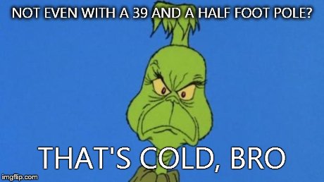 Grinchdoesntapprove | NOT EVEN WITH A 39 AND A HALF FOOT POLE? THAT'S COLD, BRO | image tagged in grinchdoesntapprove,grinch | made w/ Imgflip meme maker