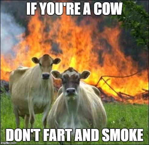 Evil Cows Meme | IF YOU'RE A COW DON'T FART AND SMOKE | image tagged in memes,evil cows | made w/ Imgflip meme maker