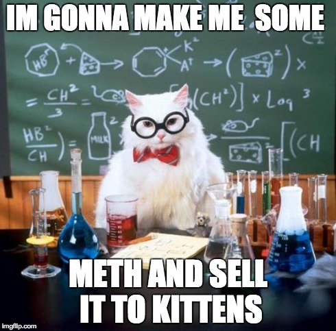 Chemistry Cat Meme | IM GONNA MAKE ME 
SOME METH AND SELL IT TO KITTENS | image tagged in memes,chemistry cat | made w/ Imgflip meme maker