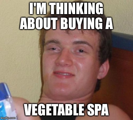 10 Guy Meme | I'M THINKING ABOUT BUYING A VEGETABLE SPA | image tagged in memes,10 guy | made w/ Imgflip meme maker