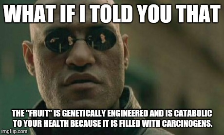 Matrix Morpheus Meme | WHAT IF I TOLD YOU THAT THE "FRUIT" IS GENETICALLY ENGINEERED AND IS CATABOLIC TO YOUR HEALTH BECAUSE IT IS FILLED WITH CARCINOGENS. | image tagged in memes,matrix morpheus | made w/ Imgflip meme maker