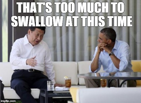 That's What Xi Said | THAT'S TOO MUCH TO SWALLOW AT THIS TIME | image tagged in that's what xi said,memes | made w/ Imgflip meme maker