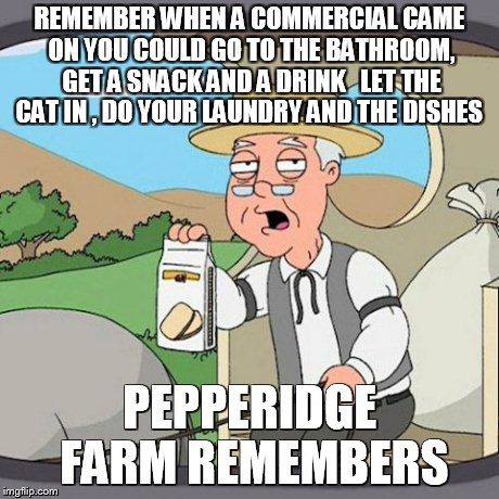 TV-how it used to be | REMEMBER WHEN A COMMERCIAL CAME ON YOU COULD GO TO THE BATHROOM, GET A SNACK AND A DRINK   LET THE CAT IN , DO YOUR LAUNDRY AND THE DISHES P | image tagged in memes,pepperidge farm remembers | made w/ Imgflip meme maker