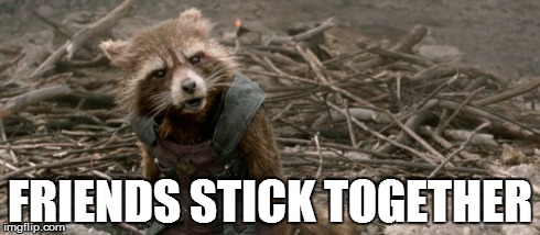 Friends | FRIENDS STICK TOGETHER | image tagged in rocket,rocket racoon,guardians of the galaxy,groot,friends | made w/ Imgflip meme maker
