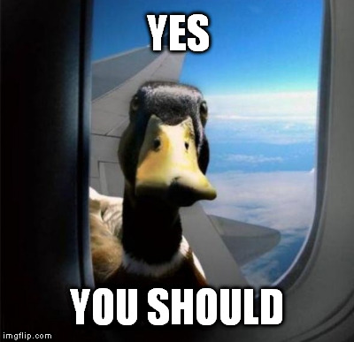 YES YOU SHOULD | made w/ Imgflip meme maker