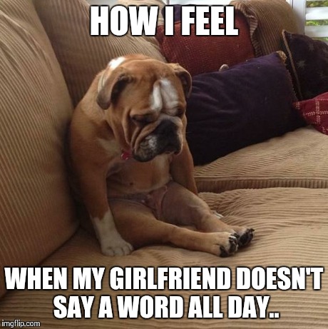 bulldogsad | HOW I FEEL WHEN MY GIRLFRIEND DOESN'T SAY A WORD ALL DAY.. | image tagged in bulldogsad | made w/ Imgflip meme maker