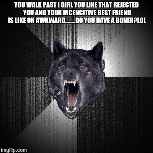 Insanity Wolf | YOU WALK PAST I GIRL YOU LIKE THAT REJECTED YOU AND YOUR INCENCITIVE BEST FRIEND IS LIKE OH AWKWARD........DO YOU HAVE A BONER?LOL | image tagged in memes,insanity wolf | made w/ Imgflip meme maker