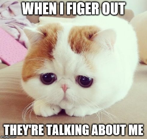 Sad Cat | WHEN I FIGER OUT THEY'RE TALKING ABOUT ME | image tagged in sad cat | made w/ Imgflip meme maker