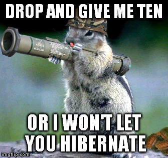 Bazooka Squirrel | DROP AND GIVE ME TEN OR I WON'T LET YOU HIBERNATE | image tagged in memes,bazooka squirrel | made w/ Imgflip meme maker