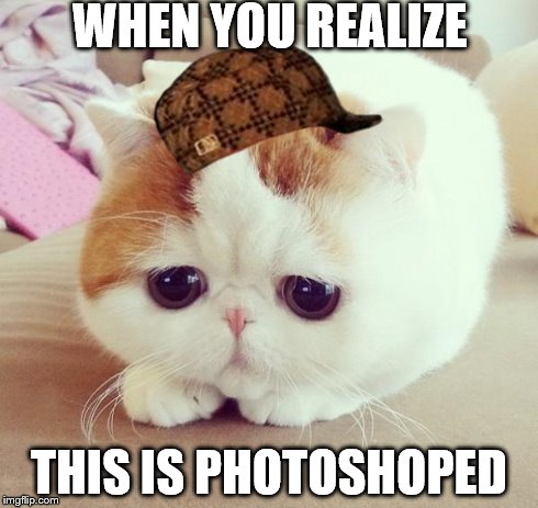 Sad Cat | WHEN YOU REALIZE THIS IS PHOTOSHOPED | image tagged in sad cat,scumbag | made w/ Imgflip meme maker